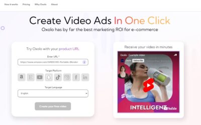 Oxolo Ai Video Generation Tool Review: AI Video Ads Creator Review